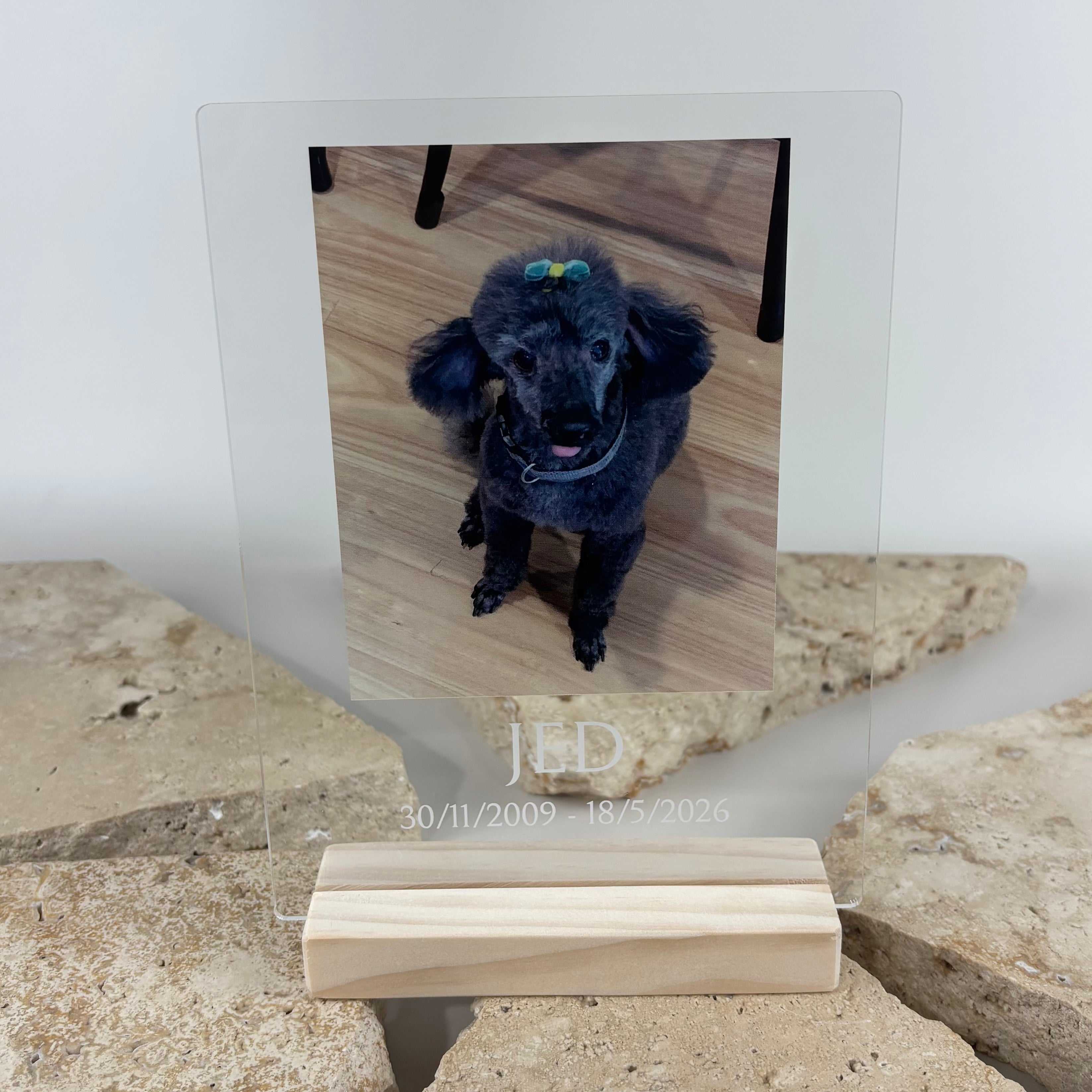 Personalised acrylic pet memorial photo plaque with engraved pet name and dates, custom pet remembrance gift, clear acrylic photo display with timber stand, dog memorial keepsake, sympathy gift for loss of a beloved pet.