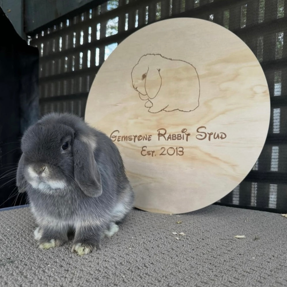Custom round engraved wooden business sign with logo, personalised timber signage for small business branding, bunny rabbit studio display Australia